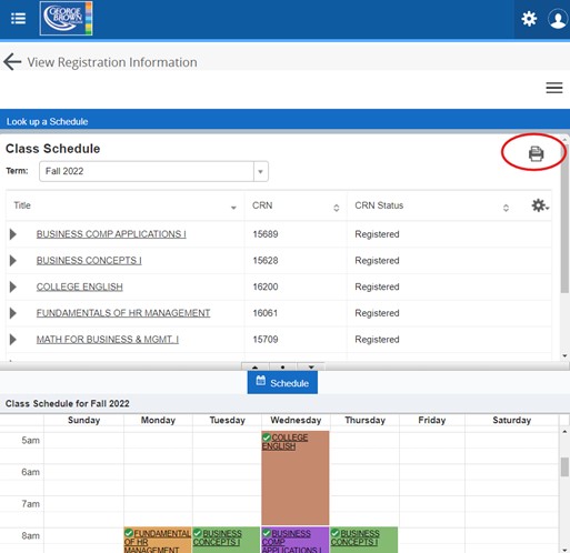 Screenshot of a student's timetable in STU-VIEW with the printer icon circled