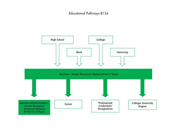 There are many pathways into the Business Administration - Human Resources Advanced Diploma B144 program including high school, work, the Business - Human Resources Diploma program and other college or university programs. After graduating from the program, students can go to work, or they can further their education through a graduate certificate such as the Human Resources Management Graduate Certificate, a professional credential or designation, or a college or university degree.