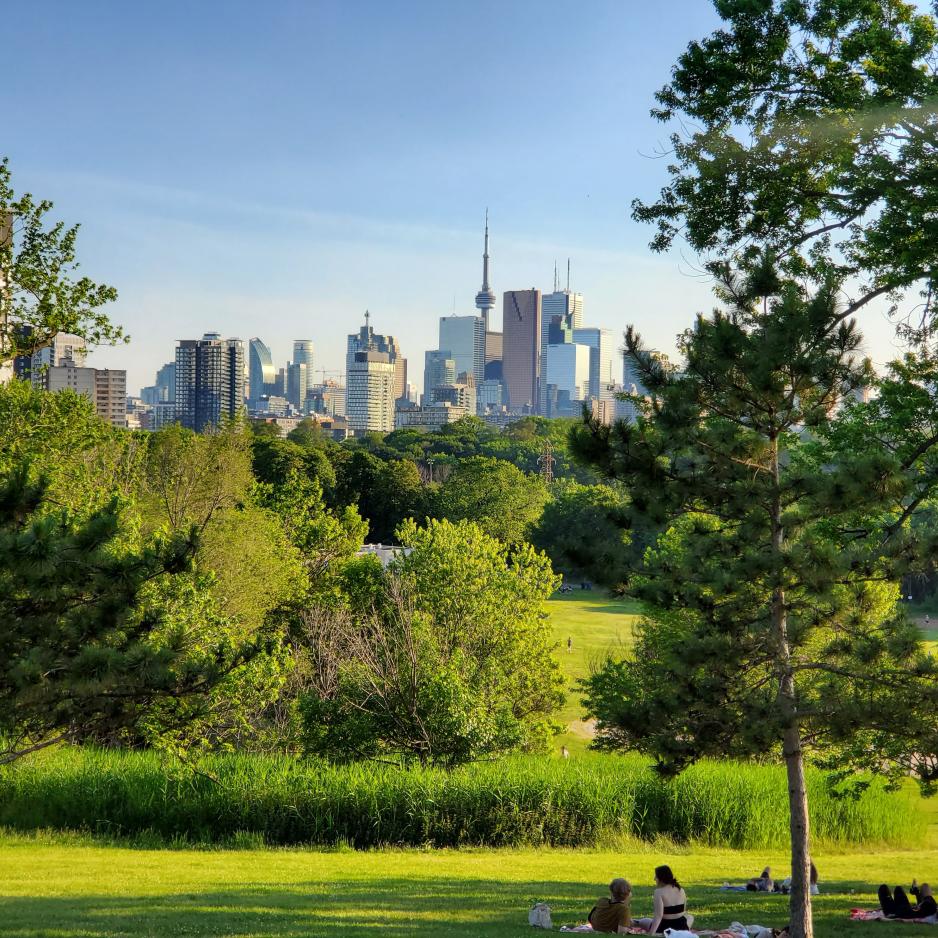 Toronto skyline from a park